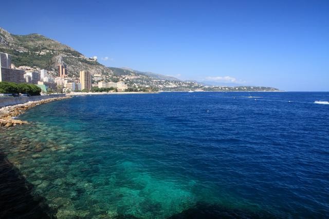 海洋物种新宠儿!怎么会出现小白兔 | 键盘大柠檬